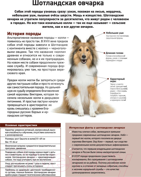 Изображение товара Энциклопедия Эксмо Все породы собак (Сула Г., Яворская-Милешкина Е., Сафронова А.)
