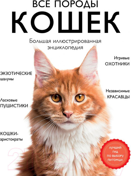 Изображение товара Энциклопедия Эксмо Все породы кошек (Ярощук А.И., Романова Л.В.)
