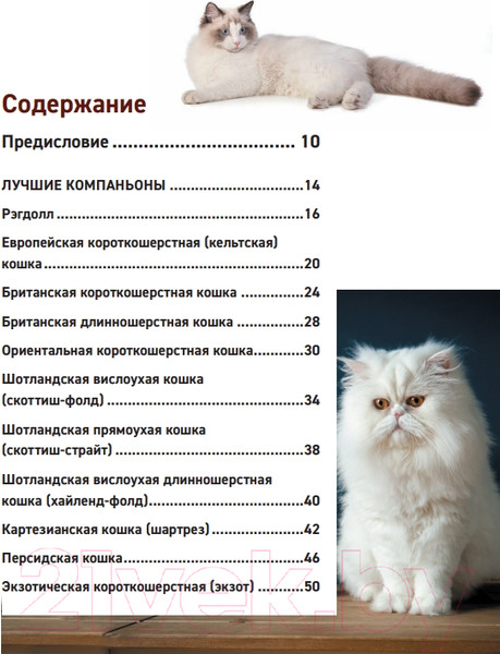 Изображение товара Энциклопедия Эксмо Все породы кошек (Ярощук А.И., Романова Л.В.)
