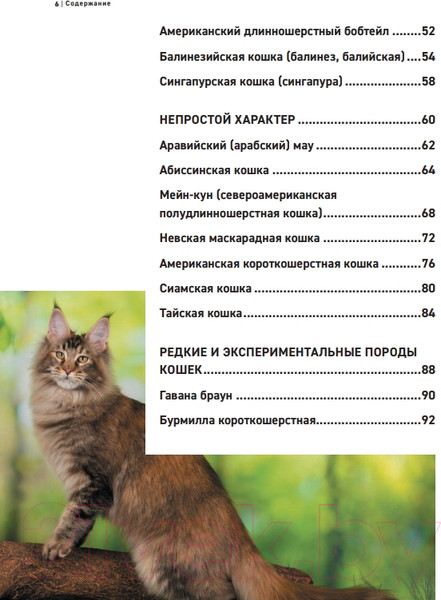 Изображение товара Энциклопедия Эксмо Все породы кошек (Ярощук А.И., Романова Л.В.)