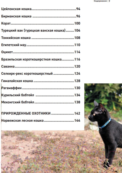 Изображение товара Энциклопедия Эксмо Все породы кошек (Ярощук А.И., Романова Л.В.)