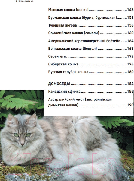 Изображение товара Энциклопедия Эксмо Все породы кошек (Ярощук А.И., Романова Л.В.)