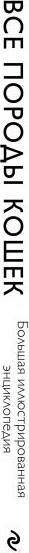 Изображение товара Энциклопедия Эксмо Все породы кошек (Ярощук А.И., Романова Л.В.)