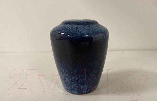 Изображение товара Солонка Corone Celeste HL900920 / фк0854