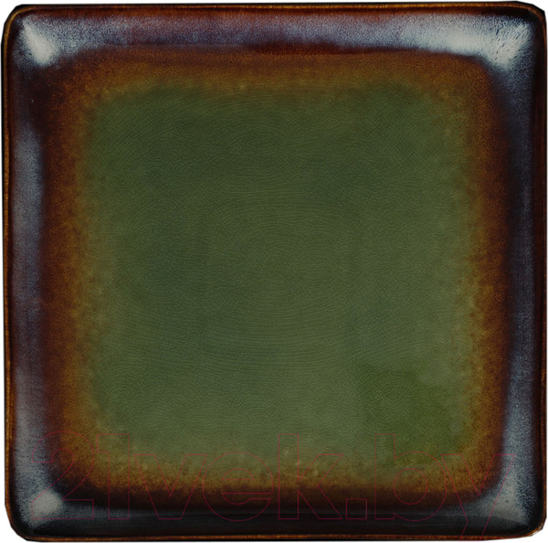 Изображение товара Тарелка столовая обеденная Corone Verde HL497030 / фк0714