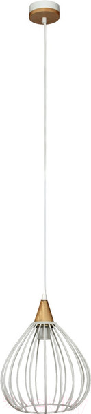 Изображение товара Потолочный светильник Элетех Лукас 211 НСБ 01-60-148 / 1005404558 (белый муар)