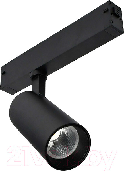 Изображение товара Трековый светильник ST Luce ST660.496.20