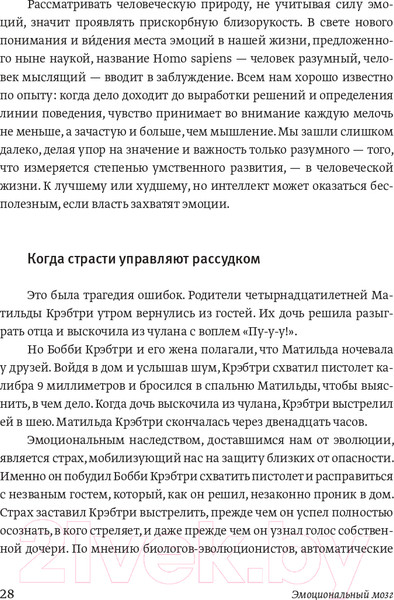 Изображение товара Книга МИФ Эмоциональный интеллект. Почему он может значить больше, чем IQ