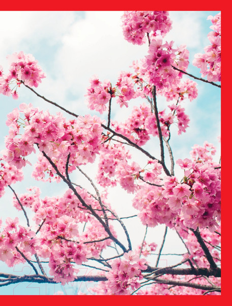 Изображение товара Книга Эксмо Японский массаж лица. Метод Асахи (Полярная Н.)