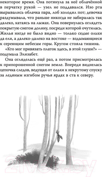 Изображение товара Книга АСТ Диковинные загадки отеля Зимний дом (Гутерсон Б., Бристоль Х.)