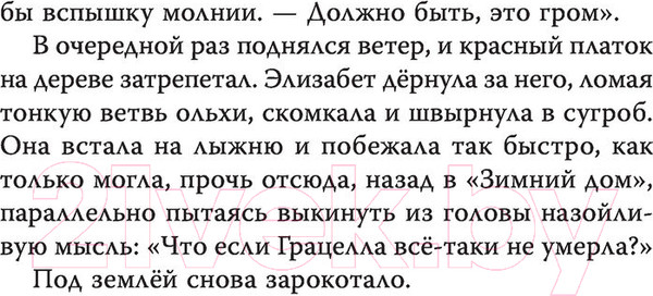 Изображение товара Книга АСТ Диковинные загадки отеля Зимний дом (Гутерсон Б., Бристоль Х.)