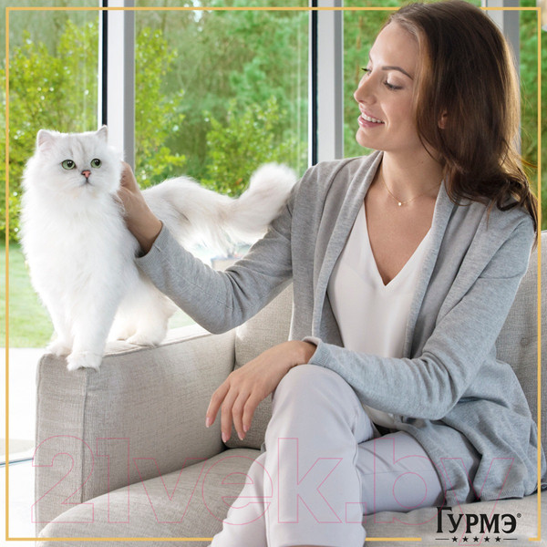 Изображение товара Влажный корм для кошек Гурмэ Натуральные Рецепты лосось-гриль с зеленой фасолью (75г)