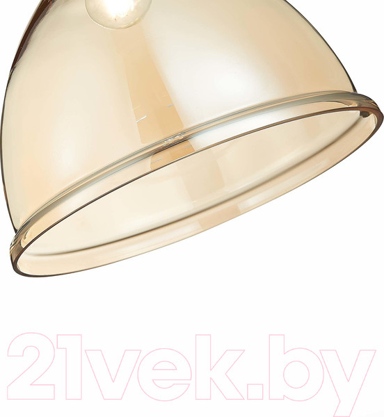 Изображение товара Потолочный светильник Evoluce Bacchi SLE114723-01