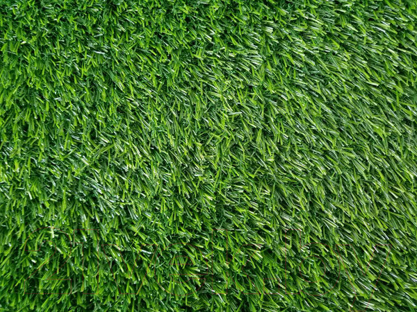 Изображение товара Искусственная трава Greenery Lawn SALG-2516 25мм (2х0.5м)