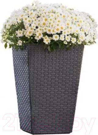 Изображение товара Кашпо Keter Medium Rattan Planter / 228974 (графит)