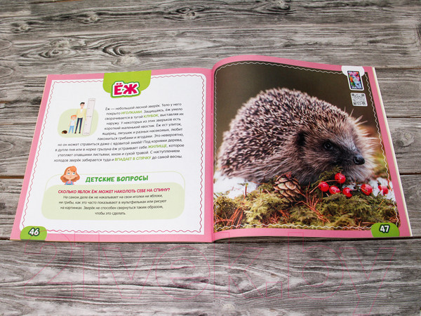 Изображение товара Развивающая книга АСТ Моя первая 4D книга о животных (Куцаева Н.Г.)