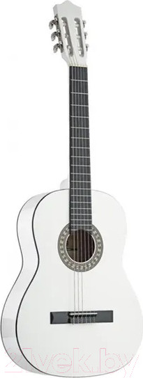 Изображение товара Акустическая гитара Belucci BC3805 WH (белый)