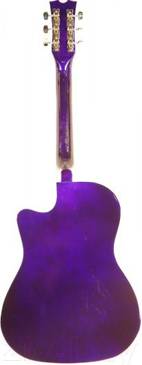 Изображение товара Акустическая гитара Belucci BC3830 VTS (фиолетовый полосатый)