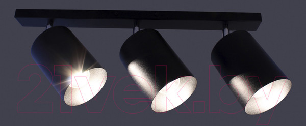 Изображение товара Спот Элетех НПБ 01-3х60-513 / 1005404520 (черный матовый/черный)