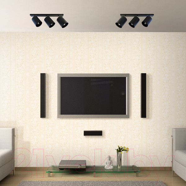 Изображение товара Спот Элетех НПБ 01-3х60-513 / 1005404520 (черный матовый/черный)