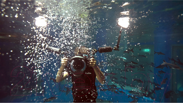 Изображение товара Осветитель студийный Godox WL8P / 28980