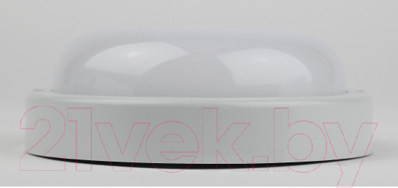 Изображение товара Светильник ЖКХ ЭРА SPB-201-0-40K-018 / Б0054579