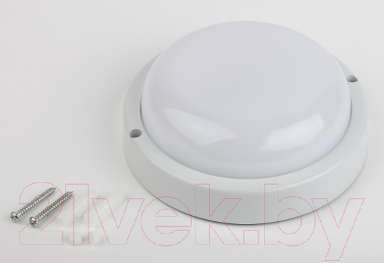 Изображение товара Светильник ЖКХ ЭРА SPB-201-0-40K-018 / Б0054579