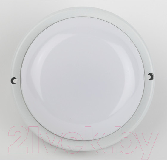 Изображение товара Светильник ЖКХ ЭРА SPB-201-0-40K-018 / Б0054579