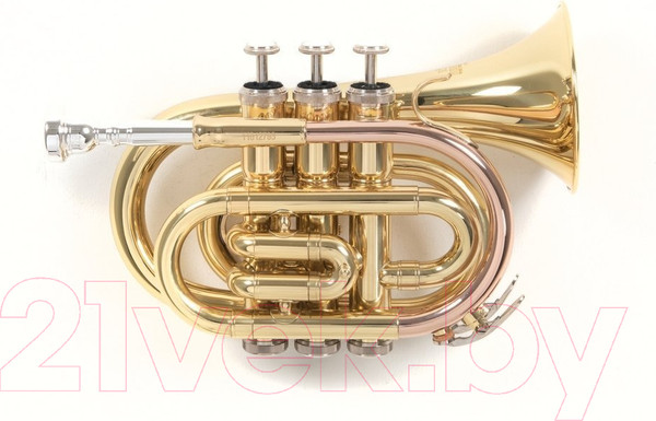 Изображение товара Труба Gewa RoyBenson Bb-Pocket PT-101 / RB701.000