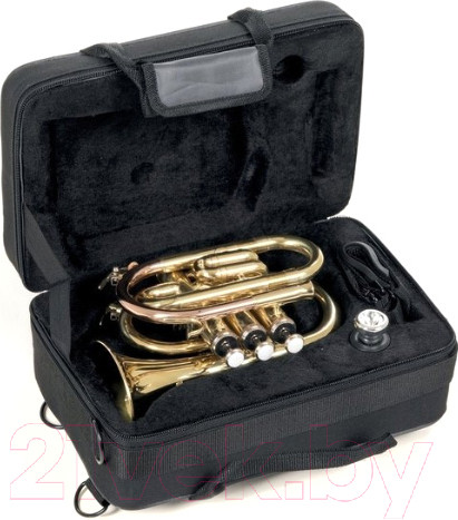 Изображение товара Труба Gewa RoyBenson Bb-Pocket PT-101 / RB701.000