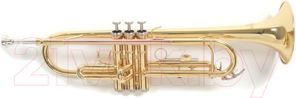 Изображение товара Труба Gewa RoyBenson TR-101 / RB701.050