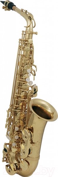 Изображение товара Саксофон Gewa RoyBenson Eb AS-202 / RB700.601