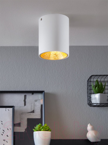 Изображение товара Светильник Eglo Polasso 94503