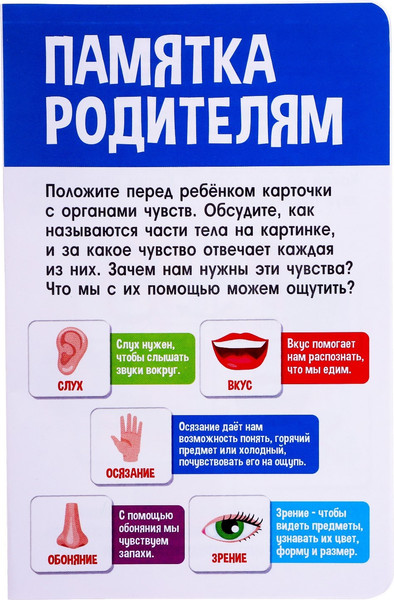 Изображение товара Развивающая игра Zabiaka Органы чувств / 7160248