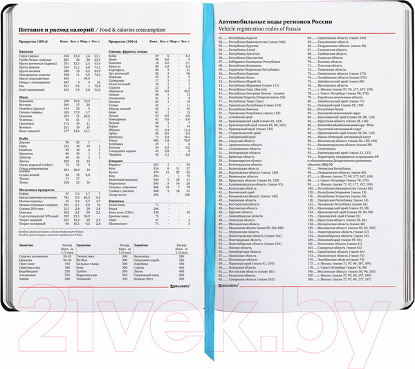 Изображение товара Ежедневник Brauberg Gradien / 112033 (136л)