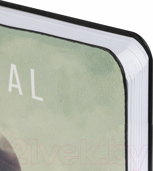 Изображение товара Ежедневник Brauberg Spirit / 112034 (136л, серый)