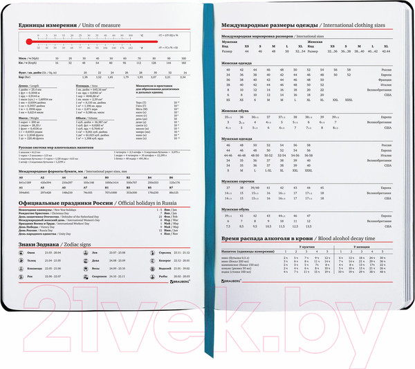 Изображение товара Ежедневник Brauberg Van Gogh / 111983 (136л, голубой)