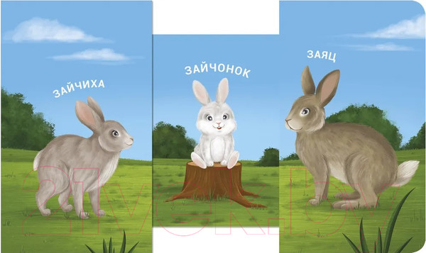 Изображение товара Развивающая книга Робинс Книжки – задвижки. Мама, папа и малыш. Дикие животные