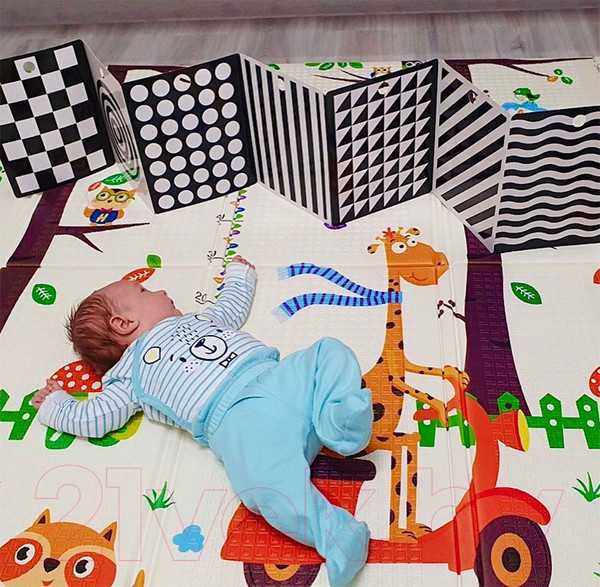 Изображение товара Развивающая книга Робинс Развиваем зрение с рождения