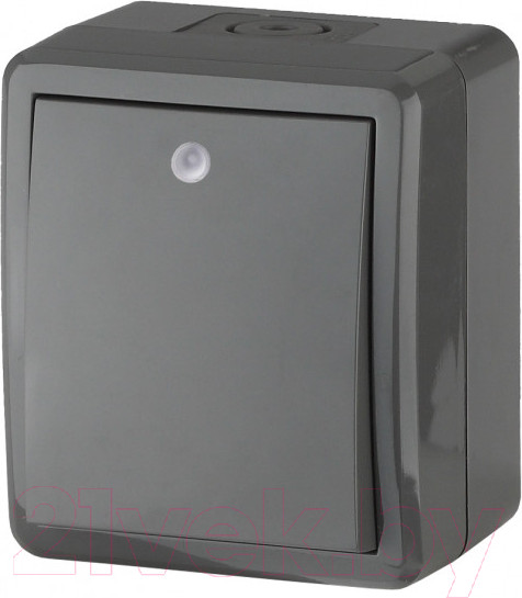 Изображение товара Выключатель ЭРА Эксперт 11-1402-03 / Б0020672 (серый)