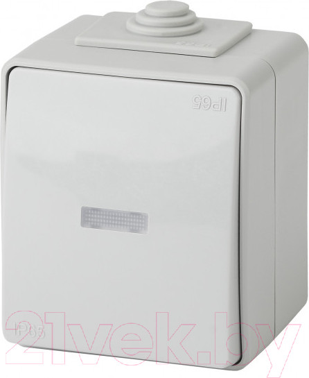 Изображение товара Выключатель ЭРА Эксперт 11-1602-03 / Б0035974 (серый)