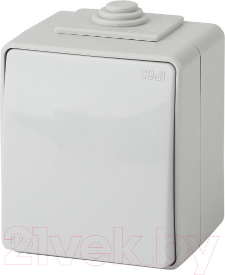 Изображение товара Выключатель ЭРА Эксперт 11-1603-03 / Б0035975 (серый)