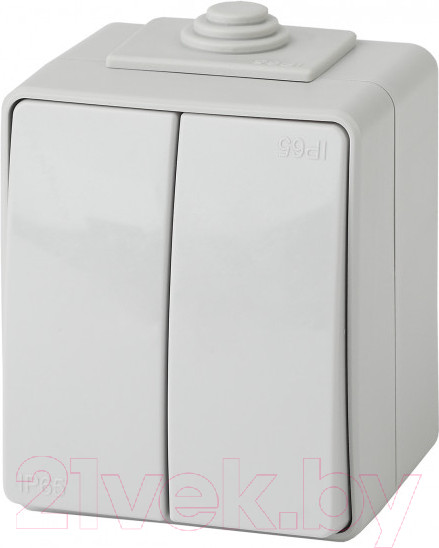 Изображение товара Выключатель ЭРА Эксперт 11-1606-03 / Б0035979 (серый)