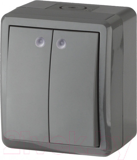 Изображение товара Выключатель ЭРА Эксперт 11-1405-03 / Б0020678 (серый)