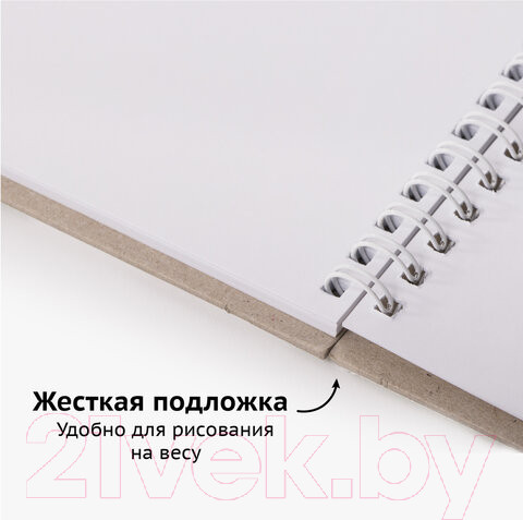 Изображение товара Скетчбук Brauberg Art Classic / 112993 (белая бумага)
