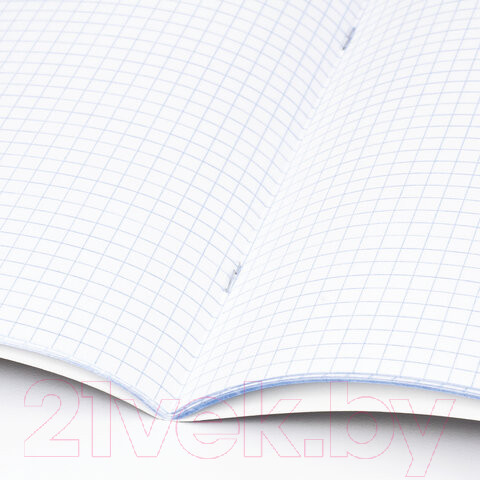 Изображение товара Набор тетрадей Brauberg Предметные Black&Bright / 403560 (10шт)