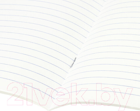 Изображение товара Набор тетрадей Brauberg Предметные Black&Bright / 403560 (10шт)