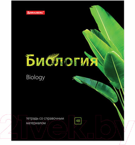 Изображение товара Набор тетрадей Brauberg Предметные Black&Bright / 403560 (10шт)