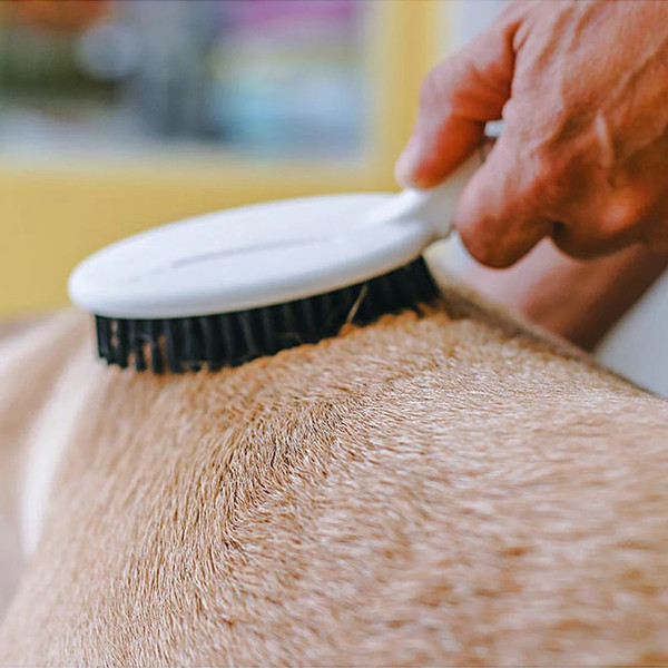 Изображение товара Щетка для животных Ferplast GRO 5760 Premium / 85760799