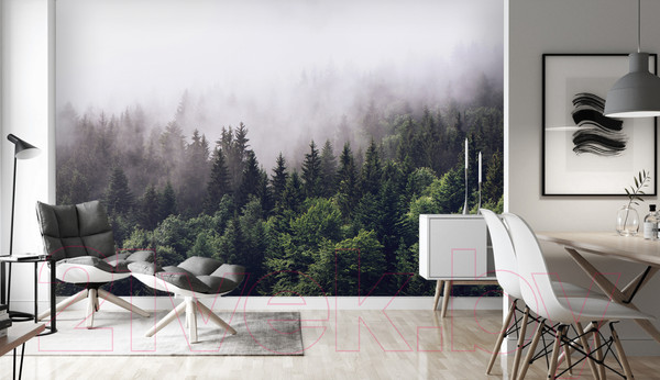 Изображение товара Фотообои листовые Vimala Лес в тумане (270x400)